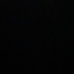 Meet your Posher, Baily